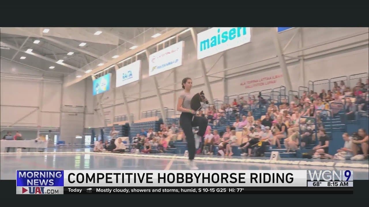 Competitive Hobbyhorse Riding — wat is het écht?