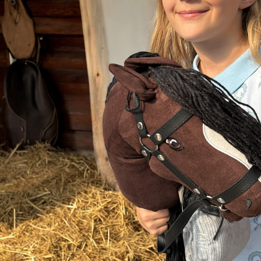 Wat heb je nodig om met hobby horse te beginnen?