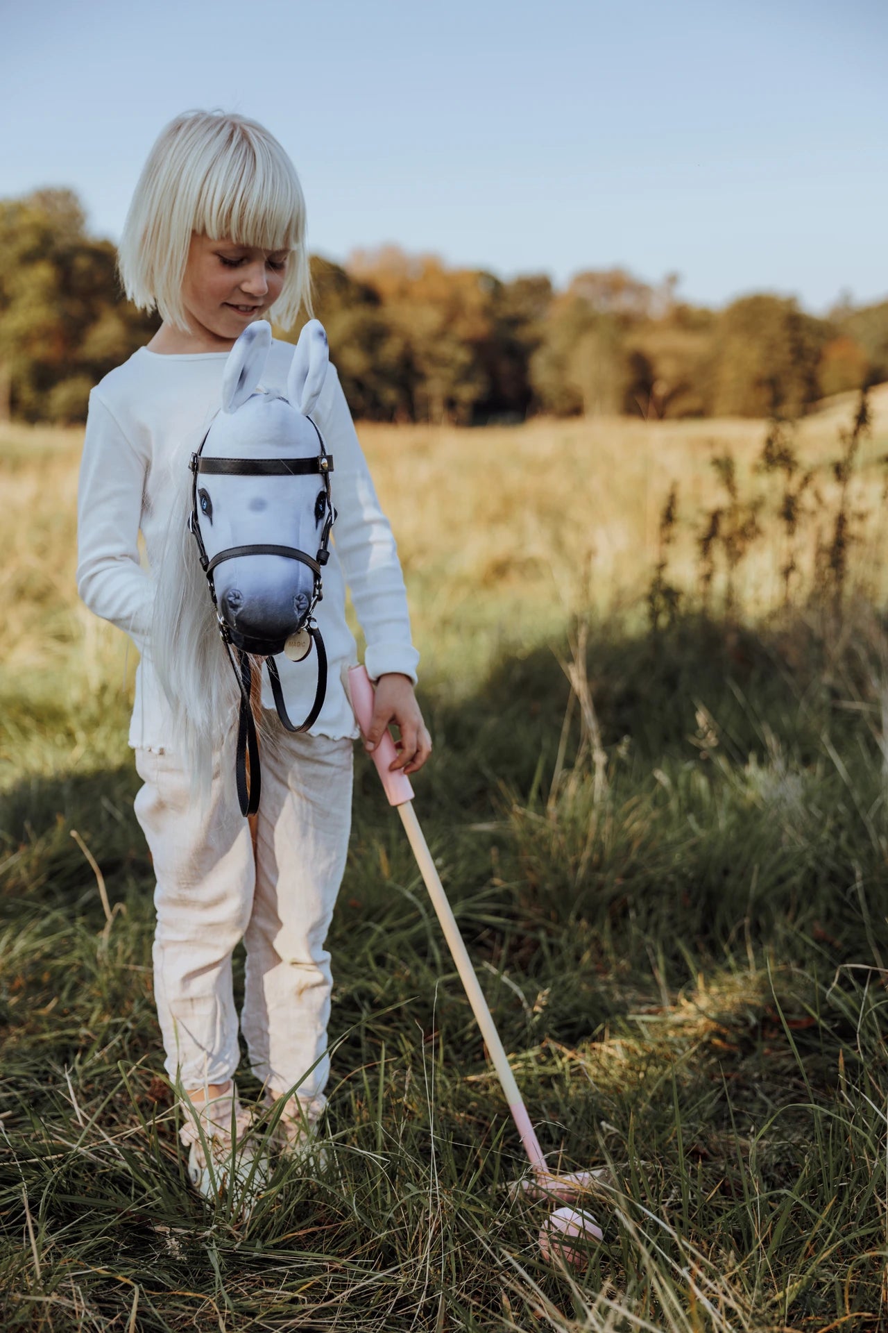 Polo spel voor Hobby Horse